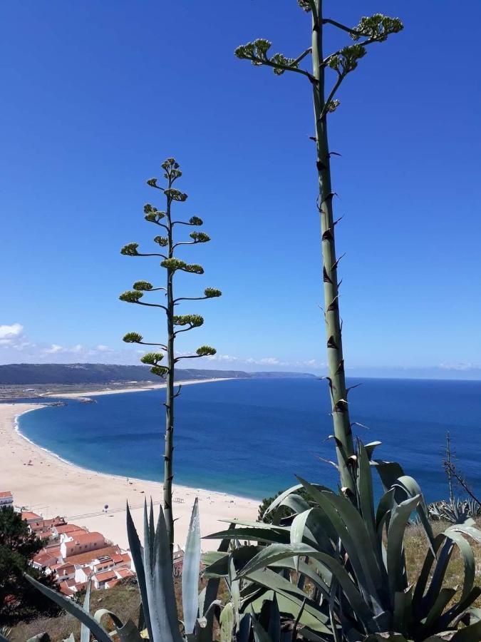 Refugio Villa Mar Nazare Luaran gambar